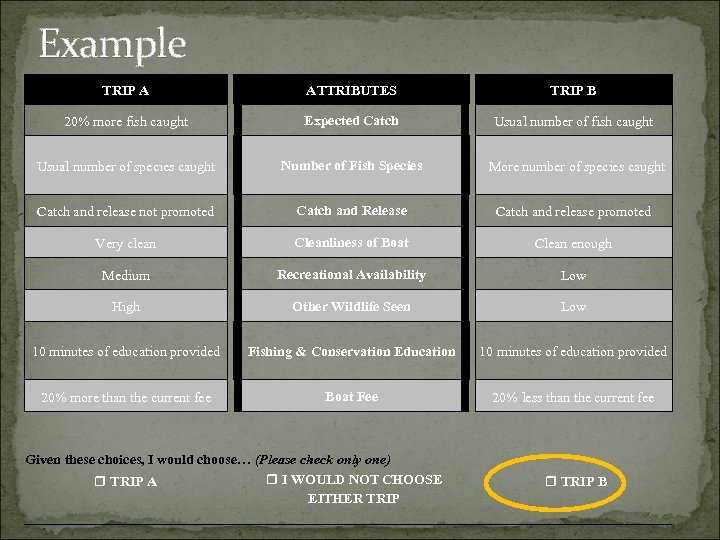 Example TRIP A ATTRIBUTES TRIP B 20% more fish caught Expected Catch Usual number
