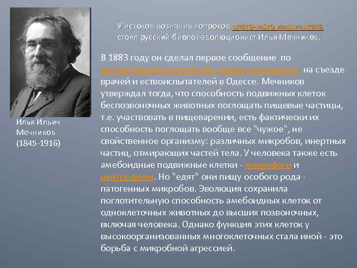 Мечников создал учение о клеточном иммунитете. Вклад Мечникова в развитие.