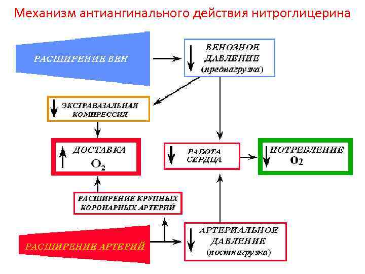 Механизм антиангинального действия нитроглицерина • 