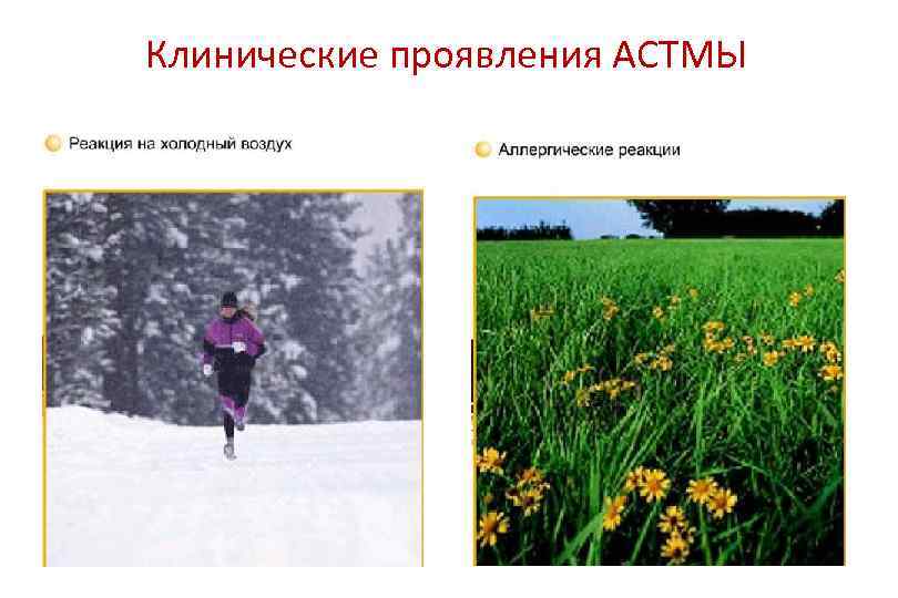 Клинические проявления АСТМЫ 