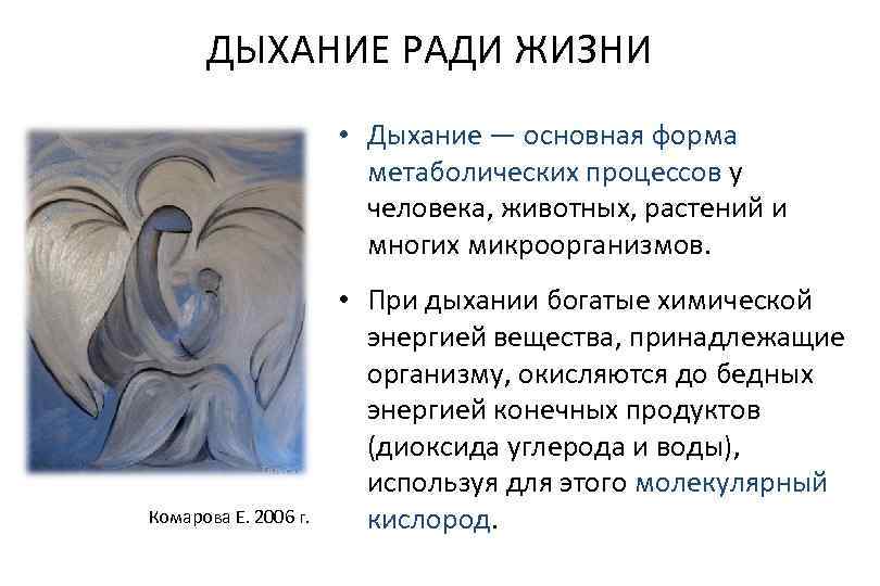 ДЫХАНИЕ РАДИ ЖИЗНИ • Дыхание — основная форма метаболических процессов у человека, животных, растений