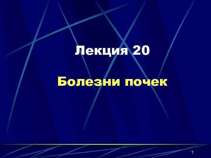 Лекция 20 Болезни почек 1 