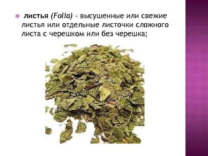  листья (Folia) - высушенные или свежие листья или отдельные листочки сложного листа с