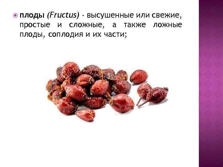  плоды (Fructus) - высушенные или свежие, простые и сложные, а также ложные плоды,