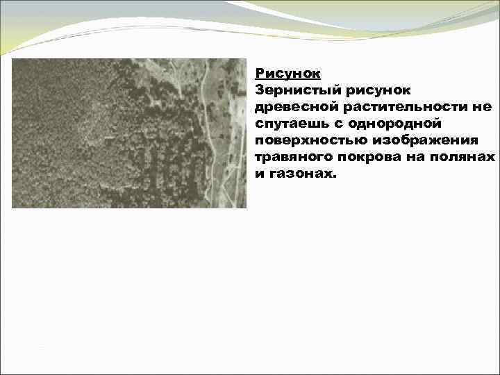 Рисунок Зернистый рисунок древесной растительности не спутаешь с однородной поверхностью изображения травяного покрова на