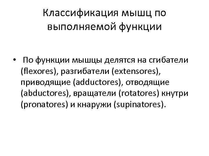 Классификация мышц по выполняемой функции • По функции мышцы делятся на сгибатели (flexores), разгибатели