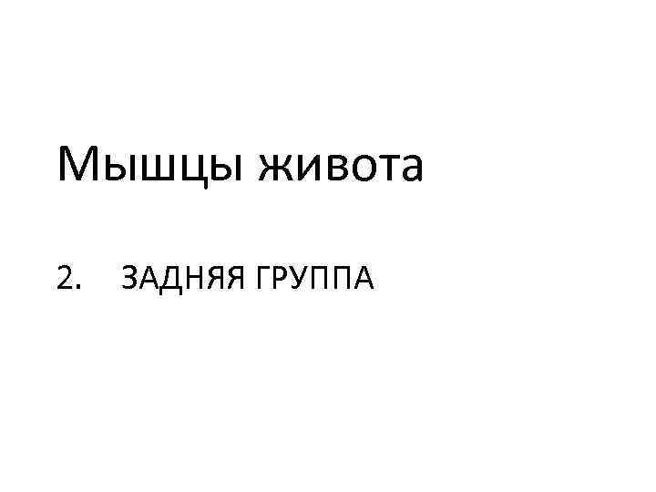 Мышцы живота 2. ЗАДНЯЯ ГРУППА 