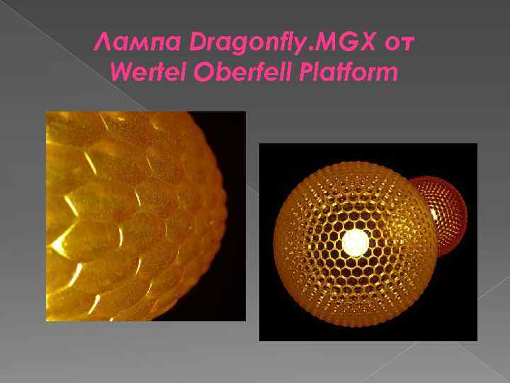 Лампа Dragonfly. MGX от Wertel Oberfell Platform 
