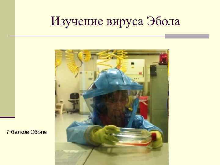 Изучение вируса Эбола 7 белков Эбола 