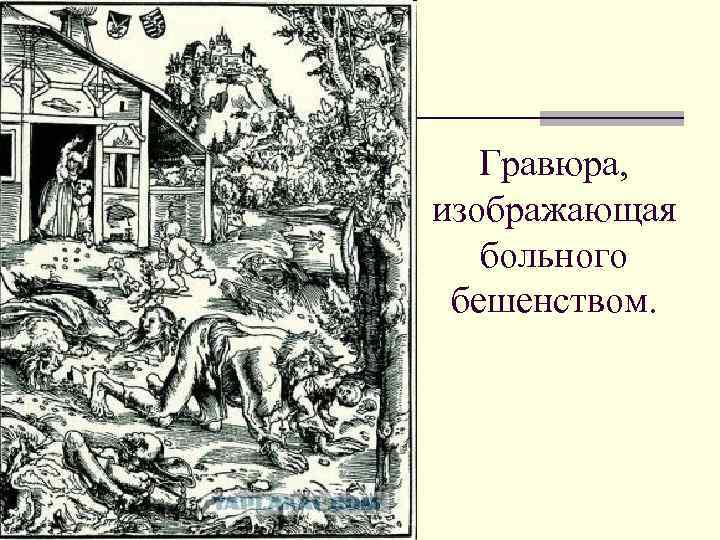 Гравюра, изображающая больного бешенством. 