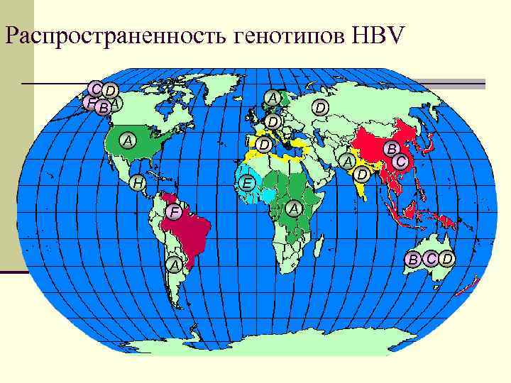 Распространенность генотипов HBV CD F BA A D D A H E F A