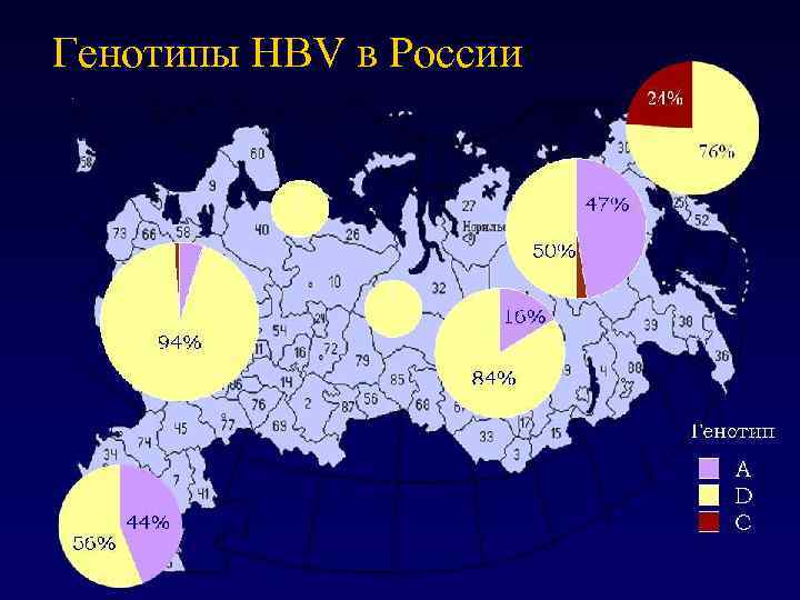 Генотипы HBV в России 