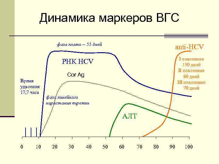 Динамика маркеров ВГС фаза плато ~ 55 дней anti-HCV I поколение 150 дней II