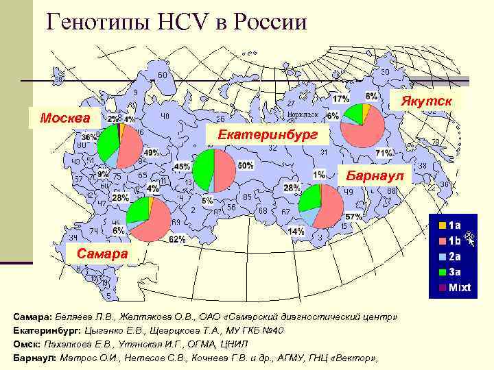 Генотипы HCV в России Якутск Москва Екатеринбург Барнаул Самара: Беляева Л. В. , Желтякова