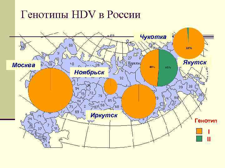Генотипы HDV в России Чукотка 98% Якутск Москва Ноябрьск Иркутск Генотип I II 