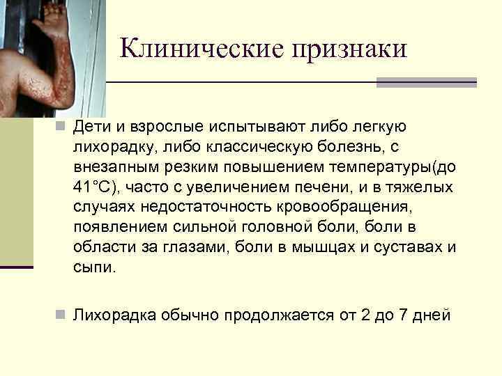 Клинические признаки n Дети и взрослые испытывают либо легкую лихорадку, либо классическую болезнь, с