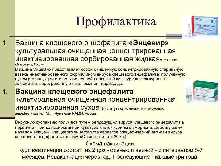 Профилактика 1. Вакцина клещевого энцефалита «Энцевир» культуральная очищенная концентрированная инактивированная сорбированная жидкая. ФГУП «НПО