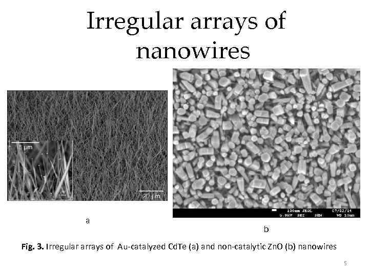 Irregular arrays of nanowires a b Fig. 3. Irregular arrays of Au-catalyzed Cd. Te
