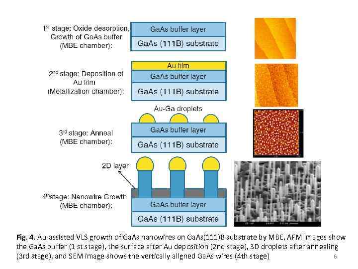 Fig. 4. Au-assisted VLS growth of Ga. As nanowires on Ga. As(111)B substrate by