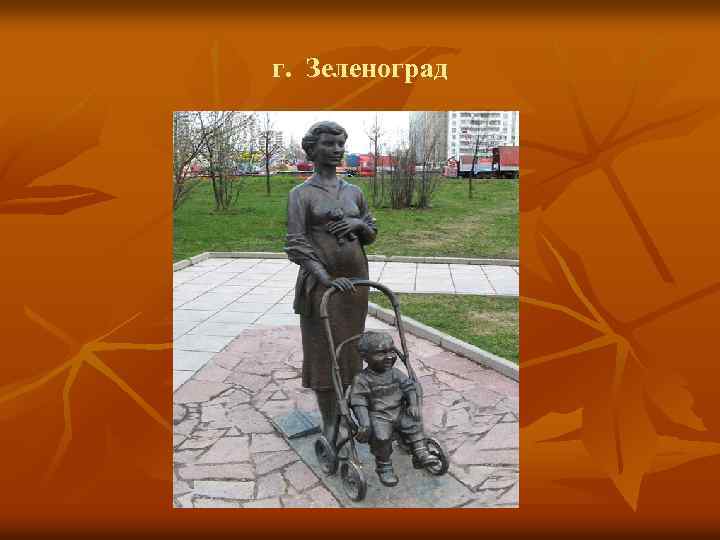 г. Зеленоград 