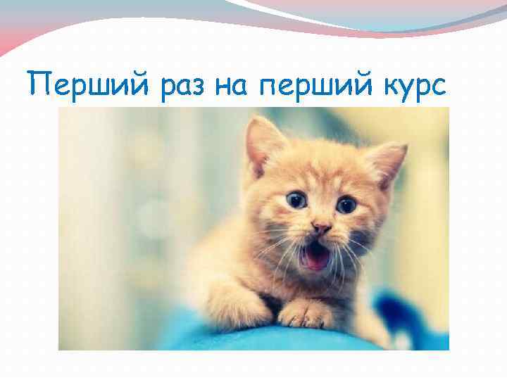 Перший раз на перший курс 