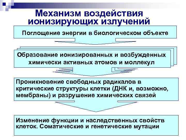 Механизм воздействия ионизирующих излучений Поглощение энергии в биологическом объекте Образование ионизированных и возбужденных химически