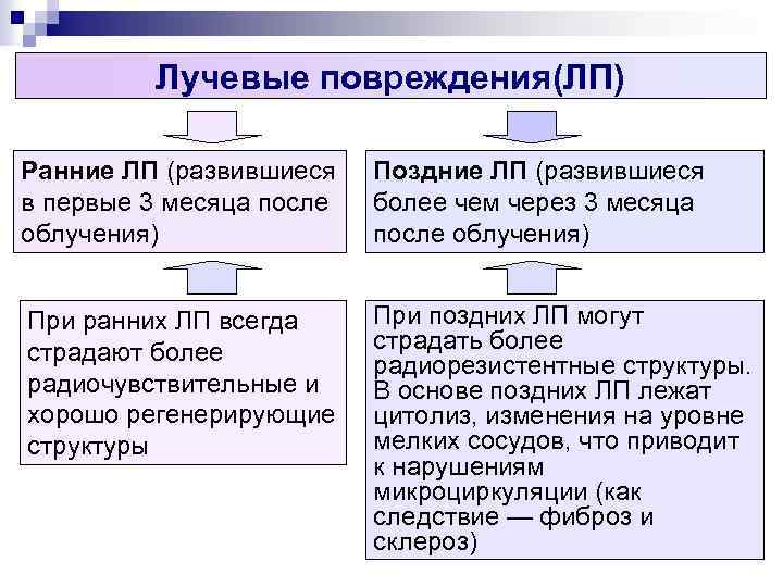 Лучевые повреждения(ЛП) Ранние ЛП (развившиеся в первые 3 месяца после облучения) Поздние ЛП (развившиеся