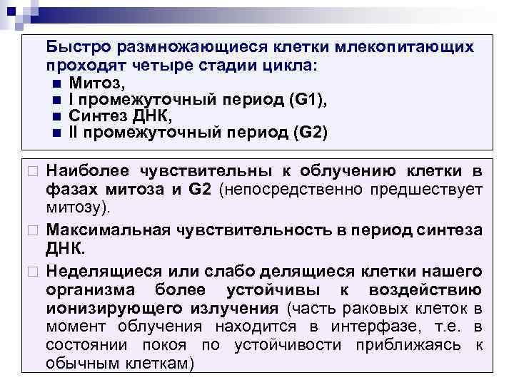 Быстро размножающиеся клетки млекопитающих проходят четыре стадии цикла: n Митоз, n I промежуточный период
