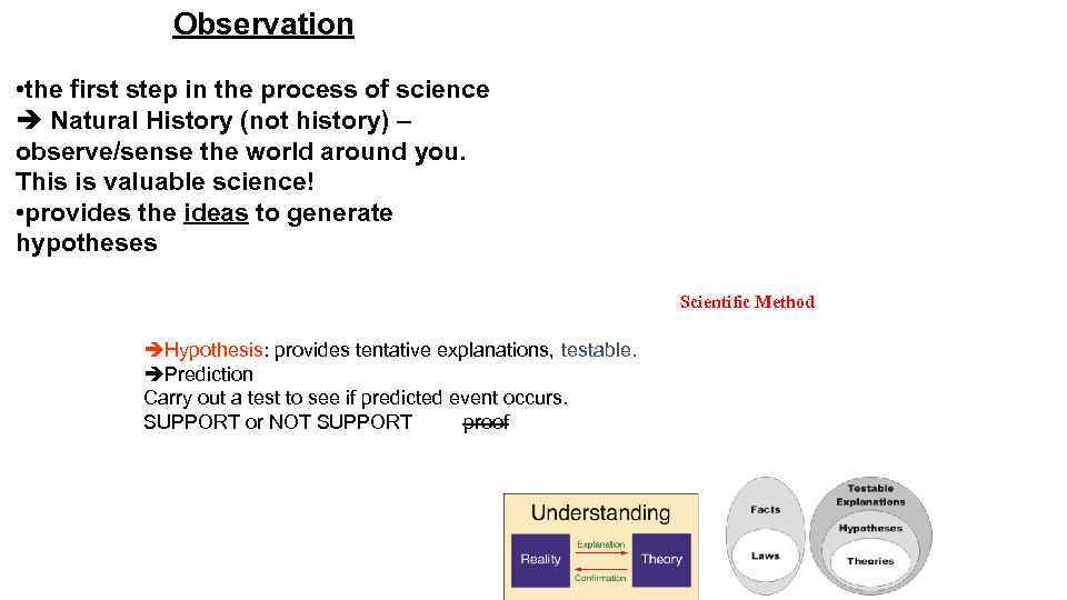 Observation • the first step in the process of science è Natural History (not