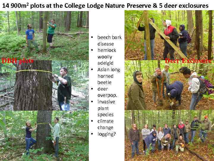 14 900 m 2 plots at the College Lodge Nature Preserve & 5 deer