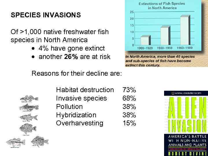 SPECIES INVASIONS Of >1, 000 native freshwater fish species in North America · 4%