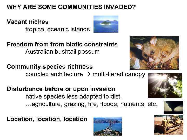 WHY ARE SOME COMMUNITIES INVADED? Vacant niches tropical oceanic islands Freedom from biotic constraints