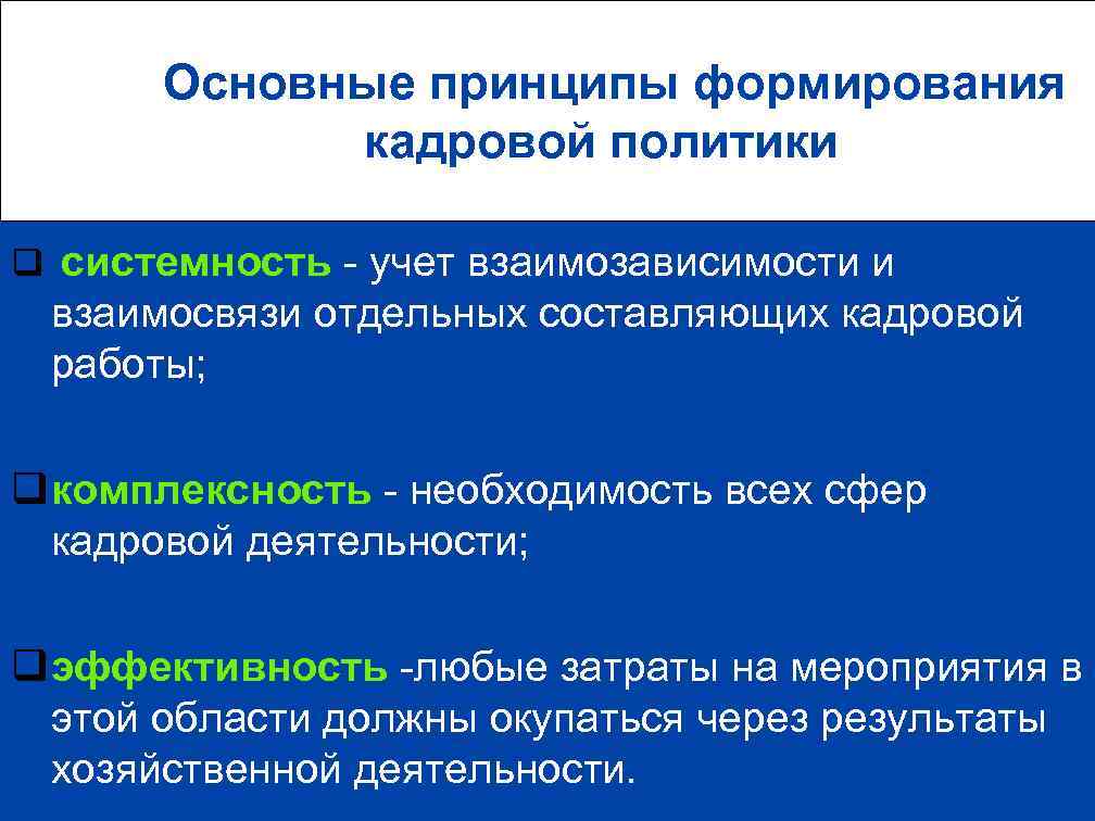  Основные принципы формирования кадровой политики q системность - учет взаимозависимости и взаимосвязи отдельных