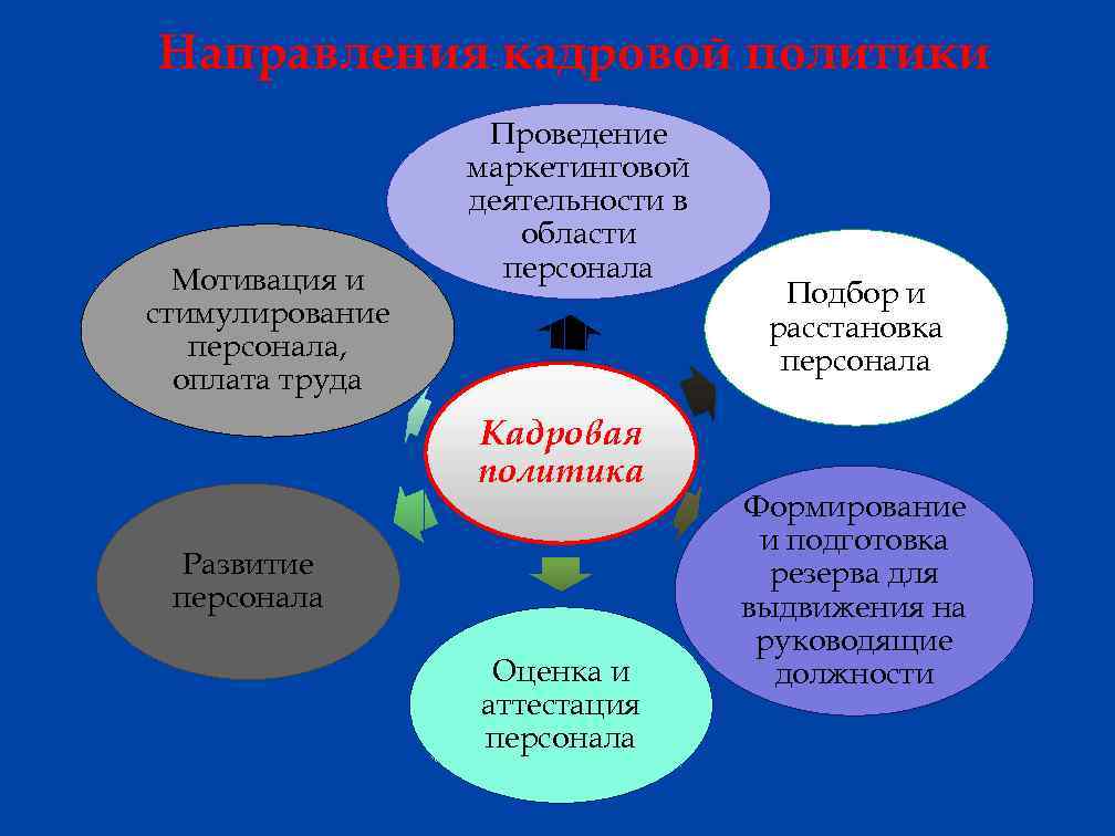 Направления кадровой политики Мотивация и стимулирование персонала, оплата труда Проведение маркетинговой деятельности в области