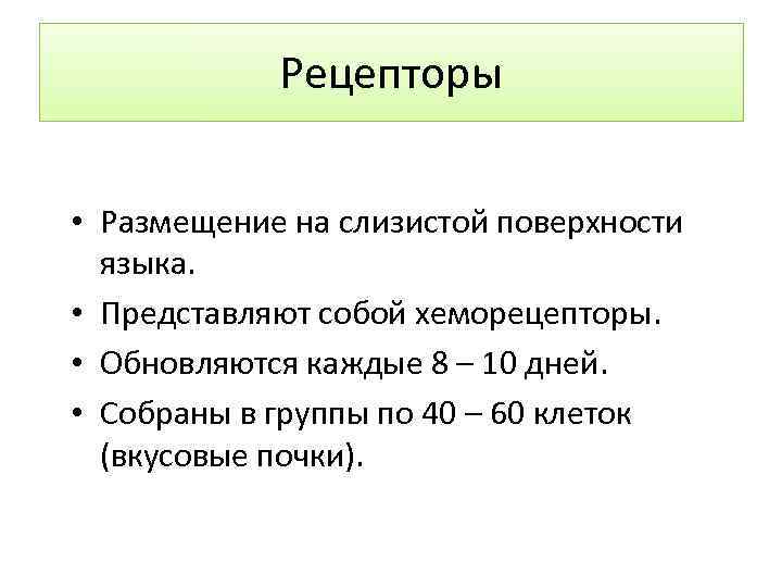 Рецепторы • Размещение на слизистой поверхности языка. • Представляют собой хеморецепторы. • Обновляются каждые