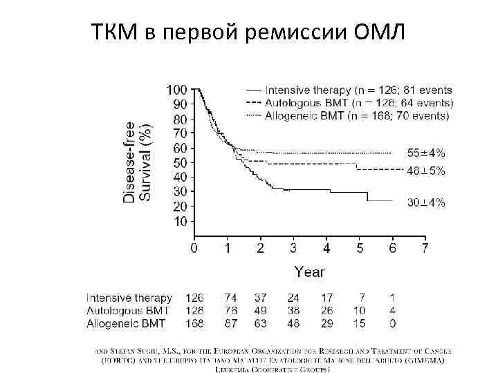 ТКМ в первой ремиссии ОМЛ 