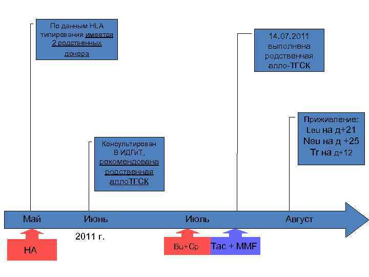 По данным HLA типирования имеется 2 родственных донора 14. 07. 2011 выполнена родственная алло-ТГСК