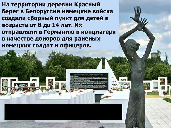 На территории деревни Красный берег в Белоруссии немецкие войска создали сборный пункт для детей