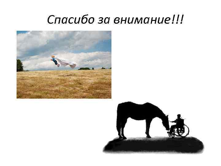 Спасибо за внимание!!! 