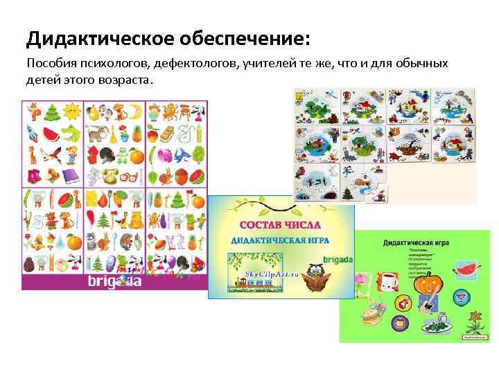Дидактическое обеспечение: Пособия психологов, дефектологов, учителей те же, что и для обычных детей этого