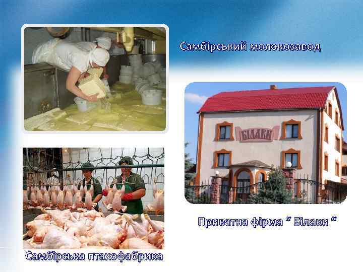Самбірський молокозавод Приватна фірма “ Білаки “ Самбірська птахофабрика 