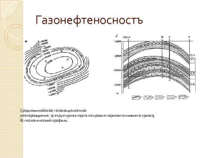 Газонефтеносностъ Средневилюйское газоконденсатное месторождение: а) структурная карта по кровле горизонта нижнего триаса; б) геологический