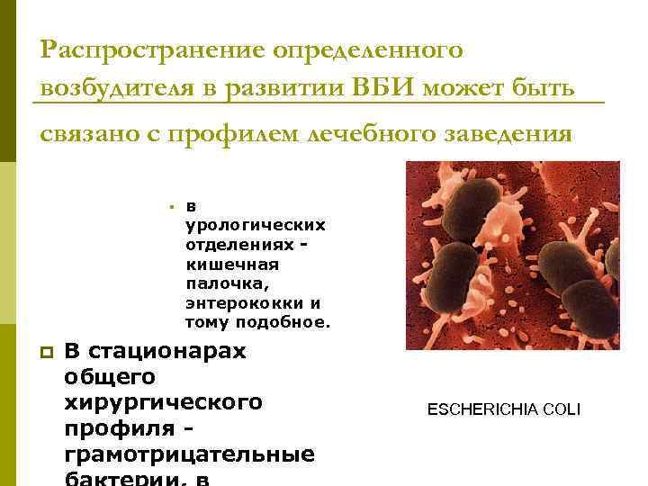 Распространение определенного возбудителя в развитии ВБИ может быть связано с профилем лечебного заведения §