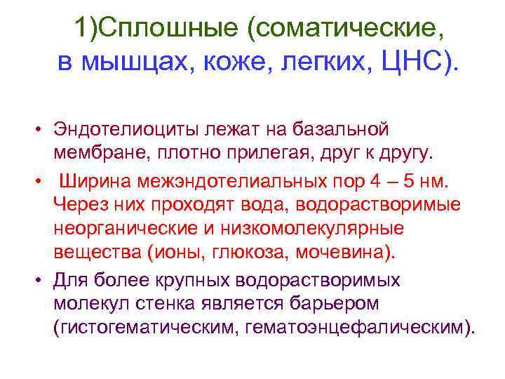 1)Сплошные (соматические, в мышцах, коже, легких, ЦНС). • Эндотелиоциты лежат на базальной мембране, плотно
