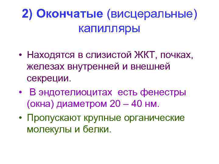 2) Окончатые (висцеральные) капилляры • Находятся в слизистой ЖКТ, почках, железах внутренней и внешней