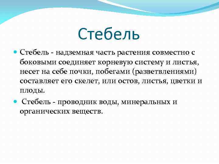 Стебель - надземная часть растения совместно с боковыми соединяет корневую систему и листья, несет