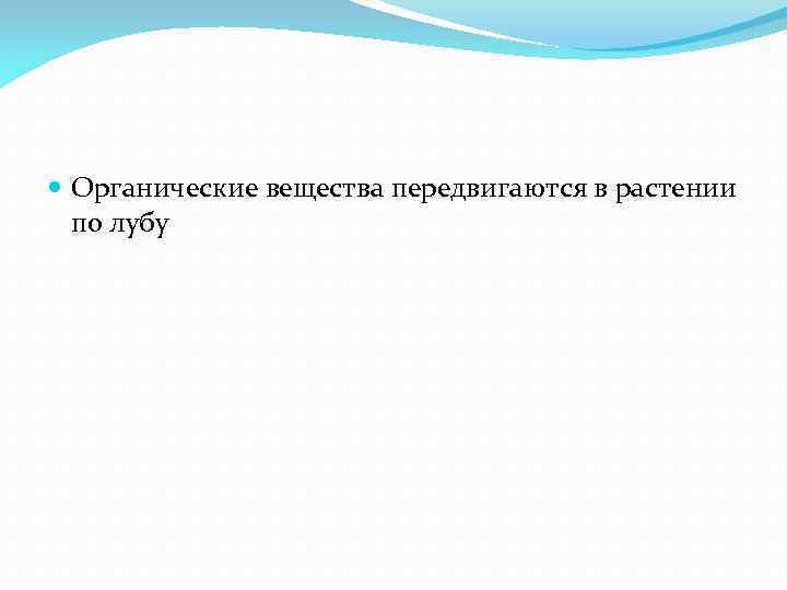  Органические вещества передвигаются в растении по лубу 