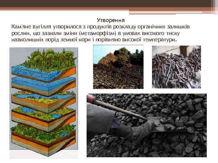 Утворення Кам'яне вугілля утворилося з продуктів розкладу органічних залишків рослин, що зазнали зміни (метаморфізм)