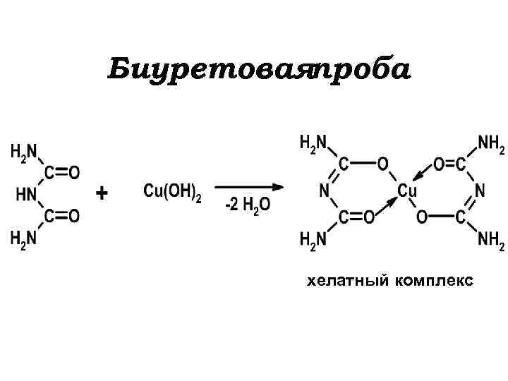 Биуретоваяпроба хелатный комплекс 