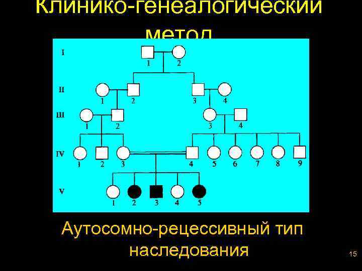 Клинико-генеалогический метод Аутосомно-рецессивный тип наследования 15 